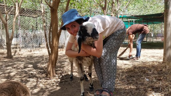 Animal Aid 1